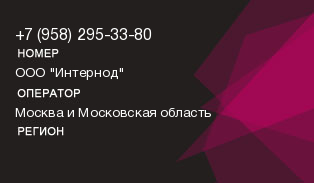9582953380